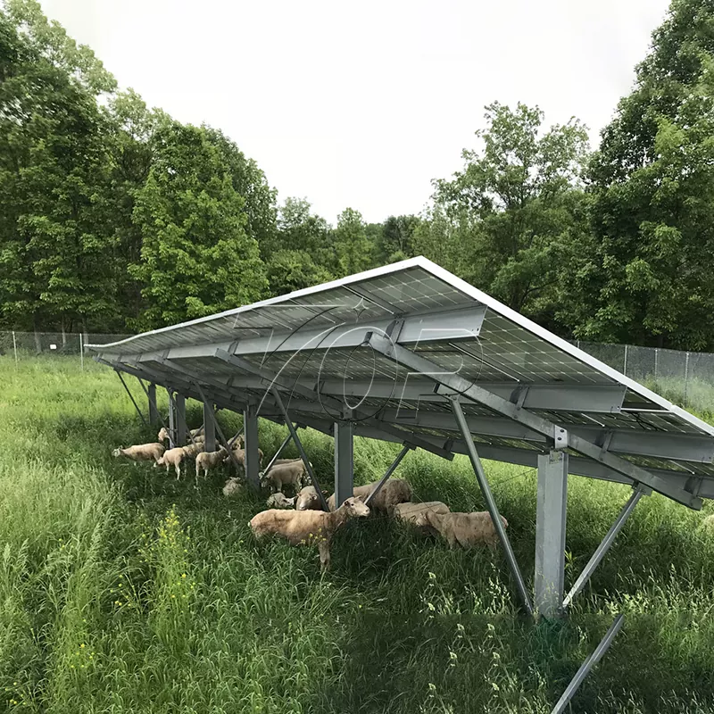 Solární panely pro farmy: Pomáháme energetické udržitelnosti zemědělství na vyšší úroveň!